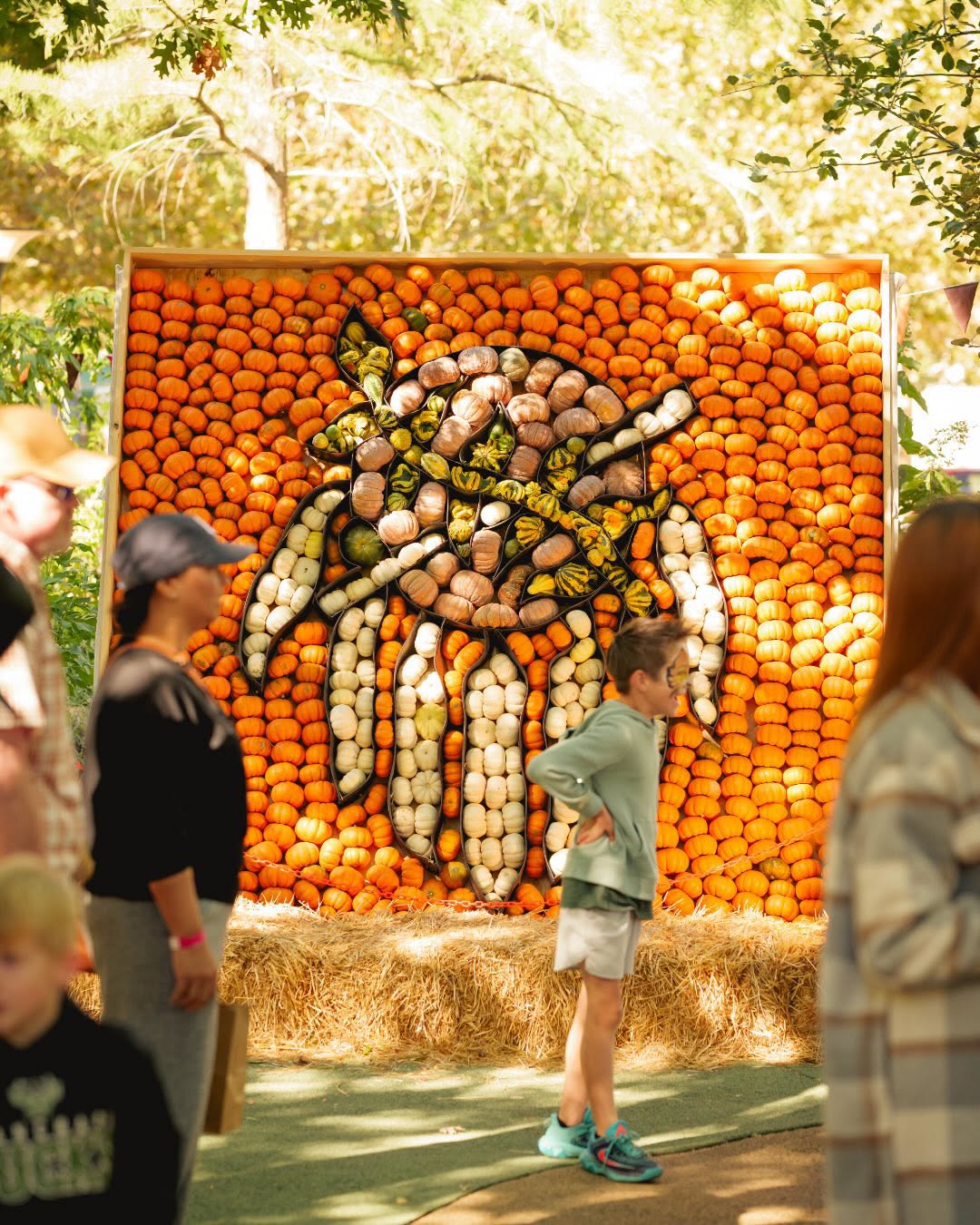 Pumpkinville celebrates Route 66 centennial at Myriad Botanical Gardens